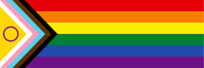 Vielfalt der Pride Flaggen